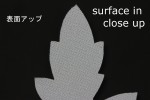 FC1098TS